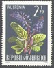 1211 Alpenflora 2 20 S Republik Österreich