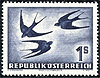 984 Vögel 1S Rauchschwalbe Republik Österreich