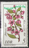 2573 Seltene Gehölze 5 Pf Briefmarke DDR