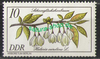 2574 Seltene Gehölze 10 Pf Briefmarke DDR
