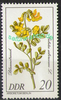 2575 Seltene Gehölze 20 Pf Briefmarke  DDR