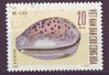 612 Nord Vietnam Briefmarken Meeresschnecken tem Việt Nam Dân chủ Cộng hòa