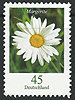 2451 Freimarke Blumen 45 Ct Deutschland stamps