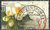 2414 Kameliengruss 55 C Deutschland stamps