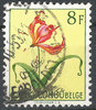 312 Belgisch Congo Belge Blumen 8 F