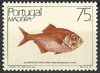 105 Portugal Madeira 75 Fische Briefmarke